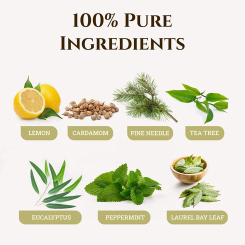 Ecodrop Decongesting Essential Oil Blend - 10ml Bottle | Pure Therapeutic Grade Eucalyptus, Peppermint & Laurel Bay Leaf Oils for Easy Breathing |...