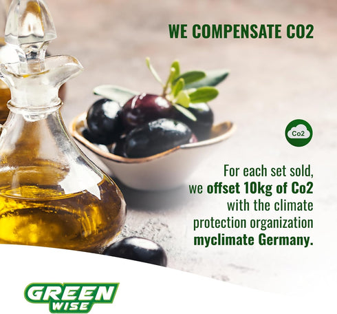 GREEN WISE Oilsprayer for Olive & Vine Oil Spray Bottle, Continuous Spray, 3 OZ, for Cooking, Salad Dressing, BBQ and More...