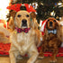 KUDES Plaid Dog Collar with Bow, 2 Pack/Set Adjustable Dog Bow Tie Collars with Bell, Best Pet Gift for Small Medium Large Girl and Boy Dogs, Red ...