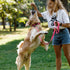 CollarDirect Reflective Dog Collar for a Small, Medium, Large Dog or Puppy with a Quick Release Buckle - Boy and Girl - Nylon Suitable for Swimmin...