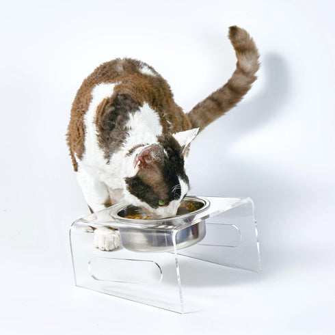 Tilted Raised Elevated Food and Water Bowls Stand for Cat or Small Dogs - Puppy's Clear Acrylic Stainless Steel Dishes Holder for Boy or Girl Pet,...