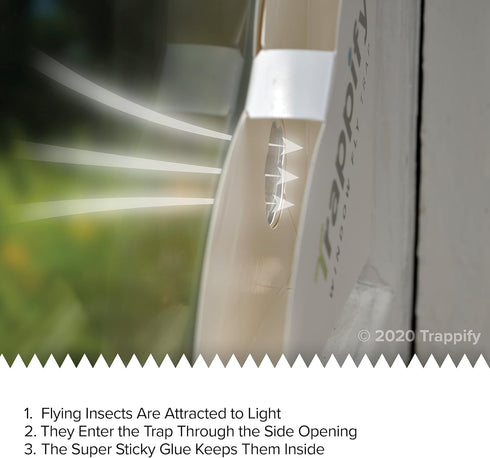 Trappify Fly Trap Indoor: Window Fly Traps for Home | Fruit Fly Traps for Indoors, Gnat Traps for House Indoor | Disposable Fly Trap with Sticky A...