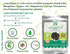 AYURVEDASHREE Whole Long Pepper Best Indian Long Pepper (Pippali) 100 Gm Pack...