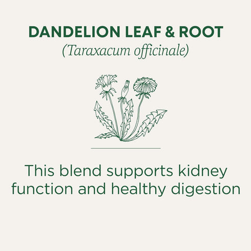 Traditional Medicinals Tea, Organic Dandelion Leaf & Root, Supports Kidney Function & Healthy Digestion, 96 Tea Bags (6 Pack)...