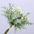 Artificial Flowers Eucalyptus Leaf Babys Breath Gypsophila Bouquets Wedding Party Home Decor,Pack of 1(White)...