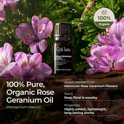 Gya Labs Organic Rose Geranium Essential Oil for Skin - Organic Geranium Essential Oil for Diffuser - Rose Geranium Essential Oil Organic for Arom...