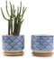 T4U 3 Inch Ceramic Succulent Planter Pots with Bamboo Tray Set of 2, Japanese Style Porcelain Handicraft as Gift for Mom Sister Aunt Best for Home...