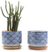 T4U 3 Inch Ceramic Succulent Planter Pots with Bamboo Tray Set of 2, Japanese Style Porcelain Handicraft as Gift for Mom Sister Aunt Best for Home...