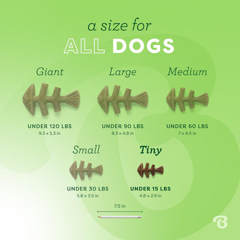 Benebone Tiny 2-Pack Fishbone Durable Dog Chew Toys, Real Fish Flavor, Made in USA...