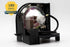 LMP-F250 Premium Compatible Projector Replacement Lamp with Housing for Sony VPL-FX50...