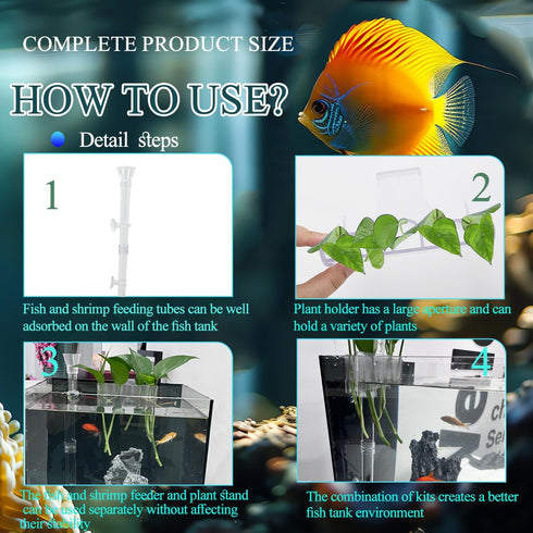 Shrimp Feeding Dish Set with Aquarium Plant Holder, 7 Hole Acrylic Transparent Aquarium Planter Holder, Clear Durable Fish Shrimp Feeding Tube Kit...