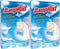 DampRid Damp Rid Hanging Moisture Absorber, Fragrance Free, 14 oz-2 pk, 14oz 2 Pack...