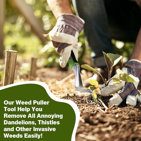 Hand Weeder Tool, Weed Puller Tool for Garden, Weeding Digger Tools with Ergonomic Handle for Weed Removal and Farmland Transplantation...