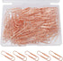 200 Pcs Rose Gold Paper Clips, 1.1" (28mm) Smooth Finish Steel Wire Paperclips Medium Size Paper Clips for Organizing School Home Office Supplies...
