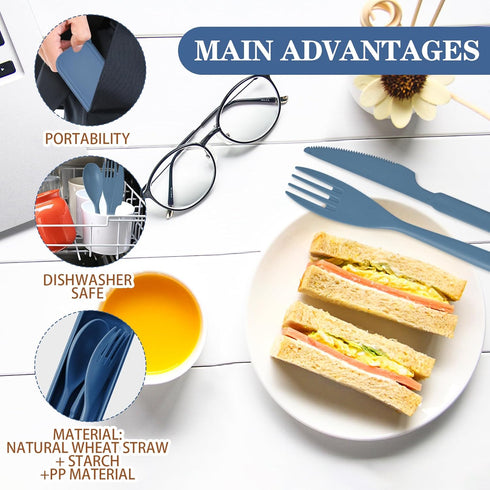 Reusable Utensil Set with Case, 2 Sets Large Portable Plastic Spoons Fork Knife Camping Utensils Silverware for Lunch Box Accessories for Kids Adu...