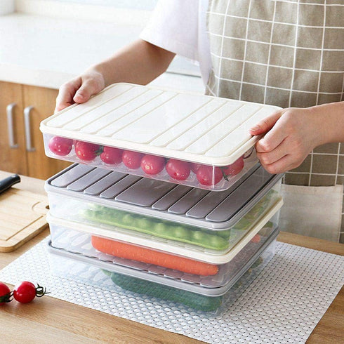Food Storage Bin Vegetable Organizer with Lid Clear Fridge Crisper Keep Food Fresh BPA Free Kitchen Organizer Bins (Grey-L-SIZE with MAT)...