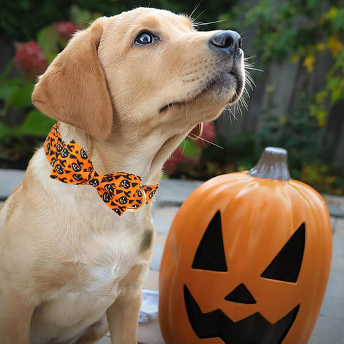 Halloween Dog Collars for Large Dog with Bow Tie,Fall Scary Pumpkin Dog Collar with Safety Metal Buckle Adjustable Puppy Collars for Small Medium ...