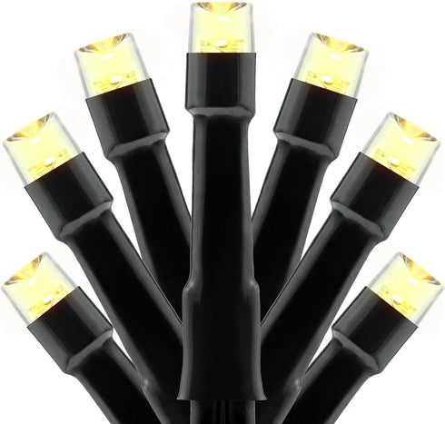 YULETIME 100 ft 300 Count Warm White LED String Lights with 8 Models Adapter, Black Wire Wide Angle 5mm Christmas Lights (Warm White - Black Wire)...