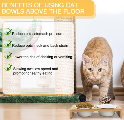 Raised Slow Feeder Dog Bowls Improves Digestion,Dog Elevated Food Bowl with 2 Ceramic Bowls, 1.6" Height Cat Water and Food Bowl(Bamboo)...