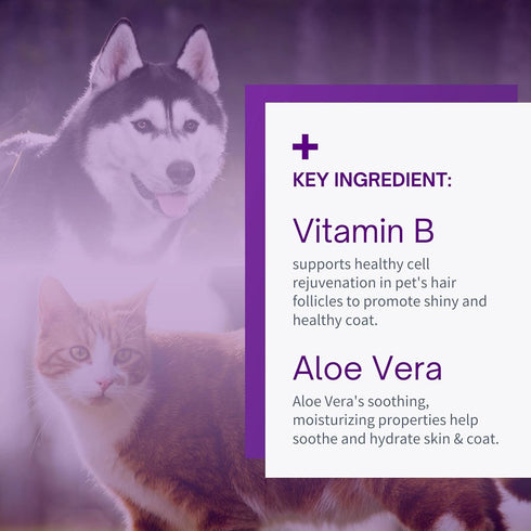 Condition & Deodorize Grooming Perfume for Dogs & Cats (Sweet Vanilla)...