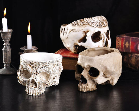 Modern Large Funny Resin Skull Shaped Head Design Flower Pot Planter Container, Decoration Flowerpot Props Home Office Desk Decor (Mediterranean)...