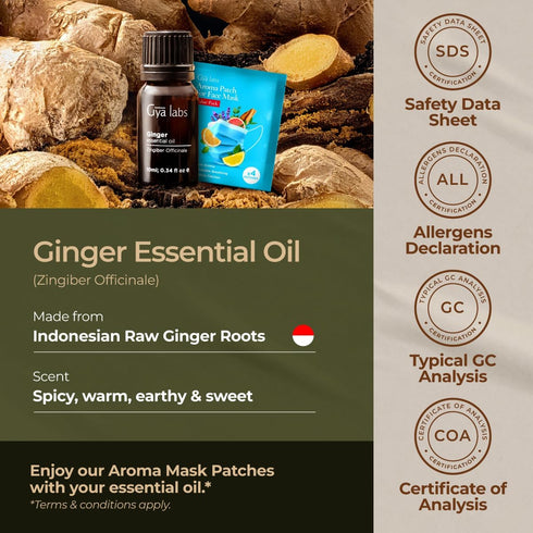 Gya Labs Ginger Essential Oil - 0.34 Fl Oz - Ginger Oil for Massage, Diffuser, Hair, Skin, Body & Candle Making - Warming & Spicy Scent...