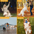 Dog Balls Toys for Aggressive Chewers, Indestructible Durable Bouncy Floating Balls for Dogs to Fetch, Durable Solid Rubber Ball for Training Dog(...