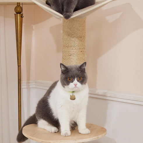 Yangbaga Cat Natural Sisal Rope for Scratching Post Tree Replacement, Hemp Rope for Repairing, Recovering or DIY Scratcher, 6mm Diameter, Come wit...