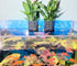 4 PCS Hanging Aquarium Planter Cups, Aquatic Plants Holder, Aquarium Planter Cup, Aquarium Decorations Plants Pot and Fish Tank Plants Pot for Liv...