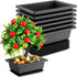 Bonsai Pot 6.5 Inches, 6 Packs Rectangle Bonzai Training Pots with Drainage Trays, Plastic Flower Pot Humidity Trays, Square Potted Planter Pot fo...