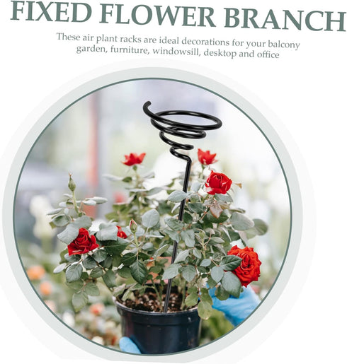 10pcs Air Plant Stand Black Stand Flower Plants Metal Brackets Air Plants Gold Plant Stand Metal Plant Stand Air Plant Display Tabletop Ornament D...