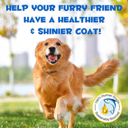 Omega 3 Fish Oil for Dogs -8.8 FL.OZ Salmon Oil for Dogs & Cats - Dog Fish Oil Supplement - Omega 3 Fish Oil for Pet Skin and Coat, Shedding, EPA ...