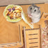Small Ceramic Pet Hamster Bowl, Easy to Clean Anti Flipping Hamster Food and Water Bowl Feeding Bowl, Small Animal Bowls for Golden Bears, Rabbits...