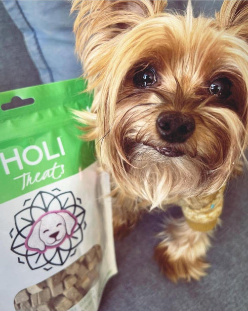 HOLI Freeze Dried Rabbit Treats for Dogs- All Natural Healthy Dog Treats, 100% Made in USA - Single Ingredient - Human Grade - Grain Free - Diabet...
