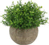 Ogrmar 4PCS Mini Plastic Artificial Plants Grass in Pot/Small Artificial Faux Greenery/Mini Plants Topiary Shrubs Fake Plants for Bathroom, House ...