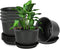 Plant Pots, Indoor Outdoor Plastic Plant Flower Pots with Multiple Drainage Holes and Tray for Garden Plant, 7 inch Planter Pots Suitable for All ...