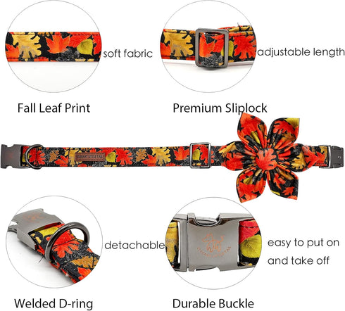 Elegant little tail Dog Collar with Flower - Fall Dog Collar Maple Leaf Flower Girl Boy Pet Collar Gift Soft Dog Flower Collars for X-Small Puppy...