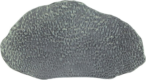 Cathedral Art My Dad Taught Me Memorial Garden Stone, 10-inches by 5-inches, Silver...