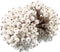 Tatuo 400 Pieces Artificial Frosted Holly Berries Fake 12 mm Mini Fruit Berry Flower Fall Decor (White)(White)...