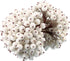 Tatuo 400 Pieces Artificial Frosted Holly Berries Fake 12 mm Mini Fruit Berry Flower Fall Decor (White)(White)...