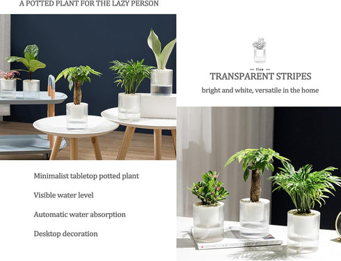 7 Inch Self Watering Pots,Clear Self-Watering Planters Box for Indoor Plants Flowers Outdoor Windowsill Gardens Comes with 1 Bag of White Pebbles...