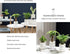 7 Inch Self Watering Pots,Clear Self-Watering Planters Box for Indoor Plants Flowers Outdoor Windowsill Gardens Comes with 1 Bag of White Pebbles...