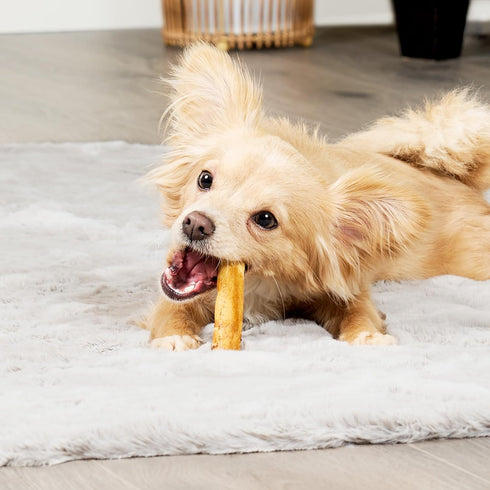American Sourced Beefhide Mini Rolls 3-3.5" Dog Chew Treats - Chicken Flavor, 40 Count/1 Pack...