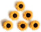 The Flowers Collection by Dress it Up Buttons and Embellishments - 6 Pieces - Sunflowers, Yellow...
