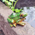 2 Pcs Frog Statues Miniature Simulation Small Animal Resin Sculpture Patio Lawn Yard Terrace Micro Landscape Fairy Garden Fish Tank Accessories In...
