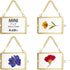 JUXYES Set of 4 Mini Brass Wall Hanging Photo Frame, Glass Hanging Picture Artwork Display Frame, Double Glass Floating Frame Style Gallery Wall F...