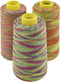 Rainbow Variegated Polyester Sewing Machine Thread All-Purpose Thread 3 Cones of 3000 Yards Each Spool Thread for Sewing Quilting Overlock Embroid...