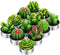 12 Pieces Cactus Tealight Candles Handmade Delicate Succulent Cactus Candles for Party Wedding Spa Home Decoration Gifts...
