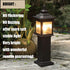 Landscape Light Bulbs For Philips 12 Volt 11 Watt T5 Wedge Base Low Voltage Lights Bulbs/ Garden Light Bulbs/ Deck Light Bulbs/ Yard Light Bulbs/ ...
