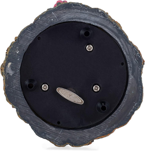 Elanze Designs Coral Reef Dolphin Pod 100MM Sturdy Wind Up Musical Glitter Water Snow Globe Tabletop Dresser Nightstand Figurine Decoration Plays ...